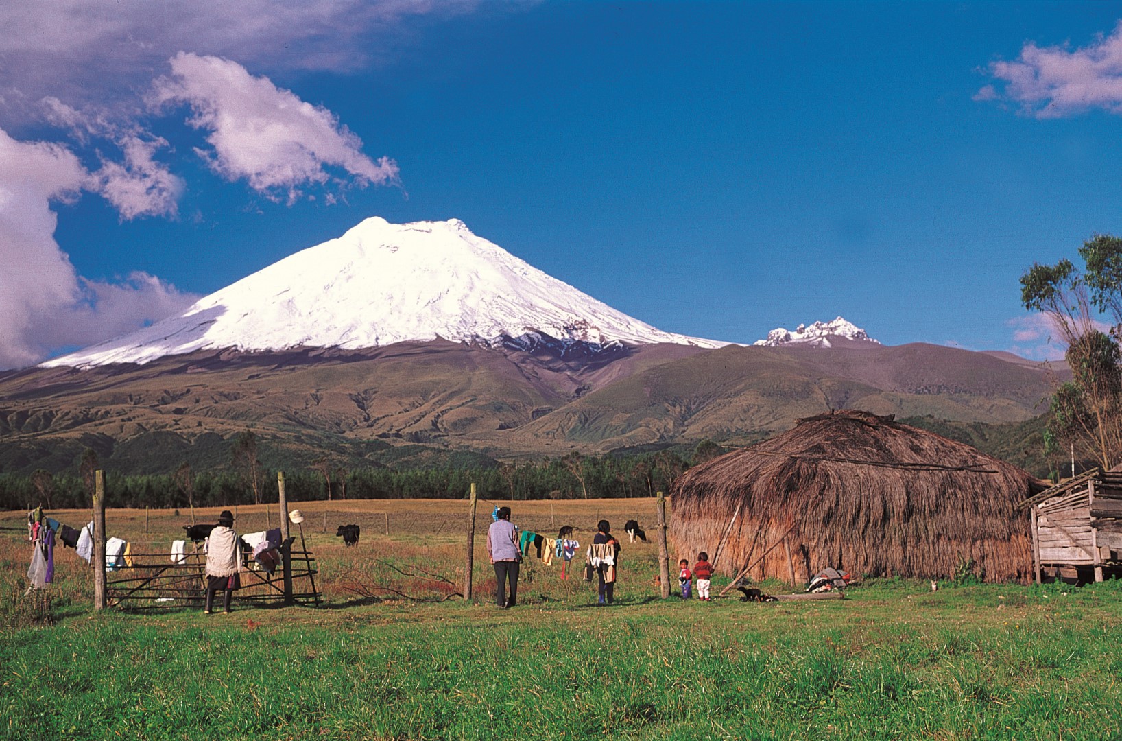 wp-content/uploads/itineraries/Ecuador/andes-cotopaxi1 (Large).jpg